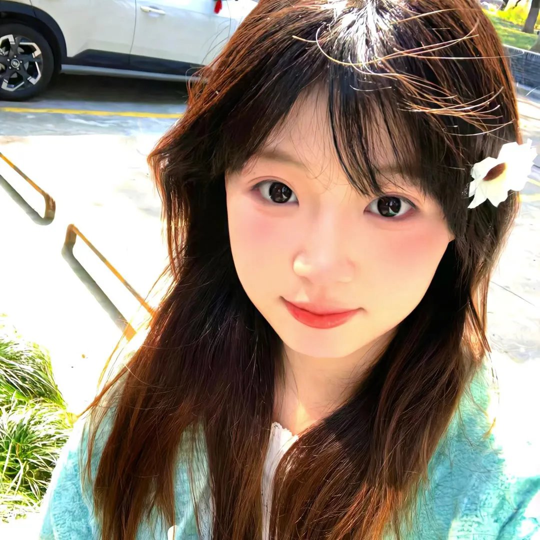 风尘莺燕